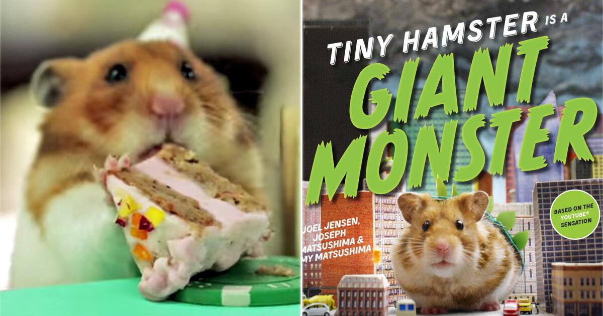 Tiny discount hamster food